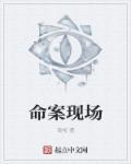 命案现场重现pdf