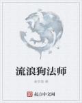 2020流浪法师怎么玩