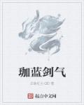 伽蓝打什么特技