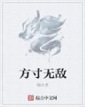 一无敌四方寸