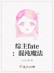 综主fate混沌魔法txt