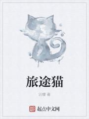 旅途猫是什么意思