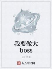 我要打boss