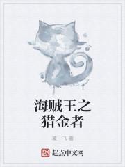 海贼之赏金猎人王