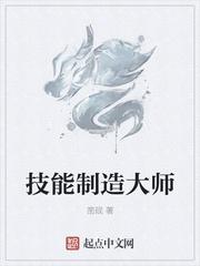 技能制造大师txt精校