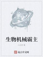 生物机械风格叫什么