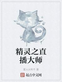 精灵之直播大师txt