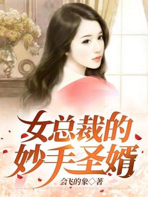 女总裁的妙手圣婿神医