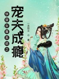 反派女配宠夫记(女尊)