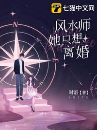 风水师她只想离婚颜安洛