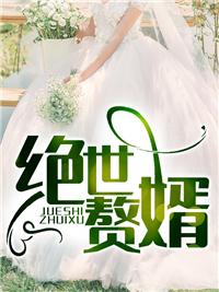 叶昊神医赘婿