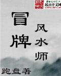 冒牌风水师TXT