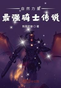 无闻骑士异闻录