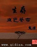 血色苍穹10