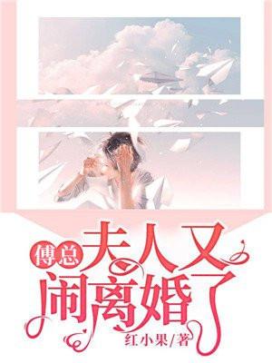 夫人又闹离婚了完结版