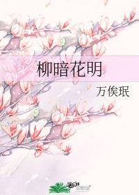 柳暗花明是什么意思