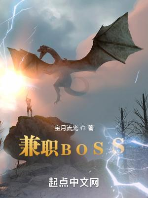 兼职boss顶点