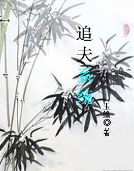 追夫系统(洞拐洞妖)