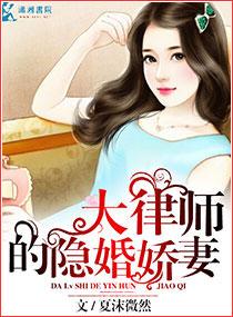 大律师的隐婚妻子