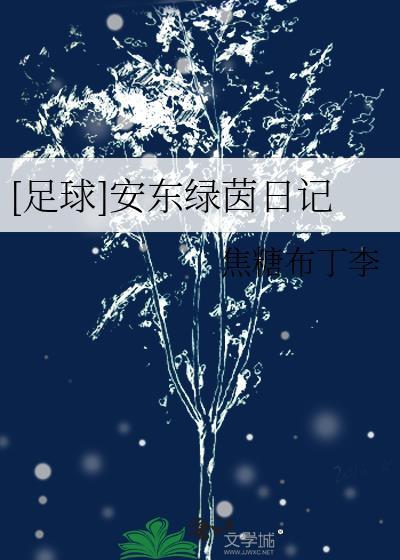 足球安东绿茵日记免费阅读