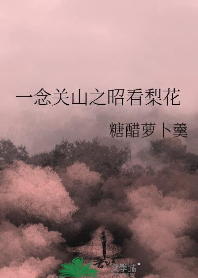 一念关山壁纸