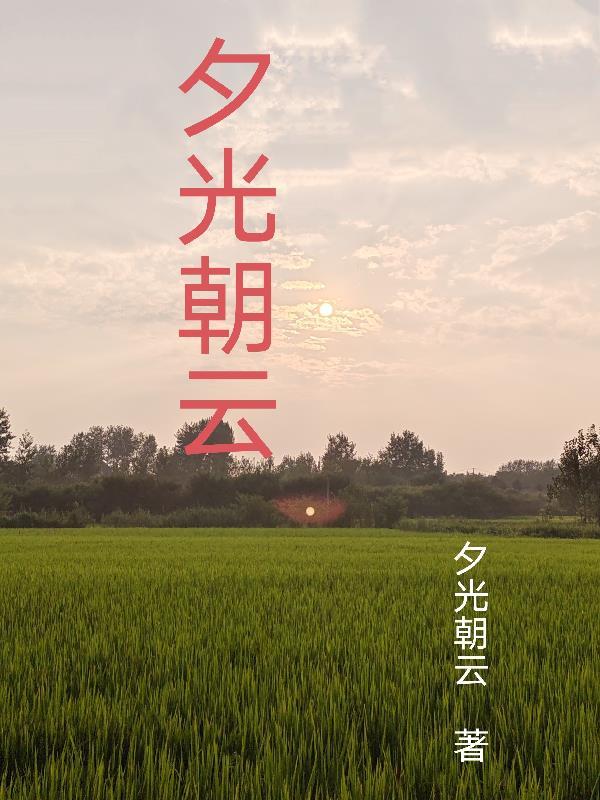 朝夕光年是什么游戏