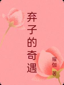 弃子的奇遇全文