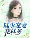 陆少花式宠妻