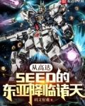 高达seed从天而降第几集