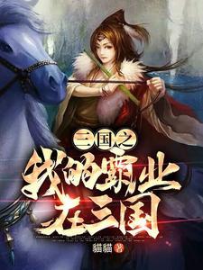 三国霸业系统免费阅读