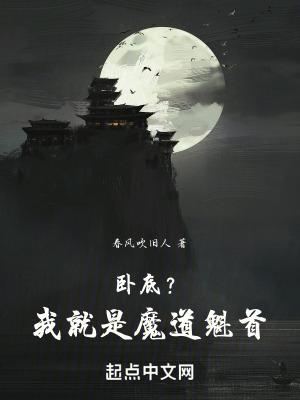 我是卧底魔术师