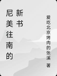 尼美是什么意思