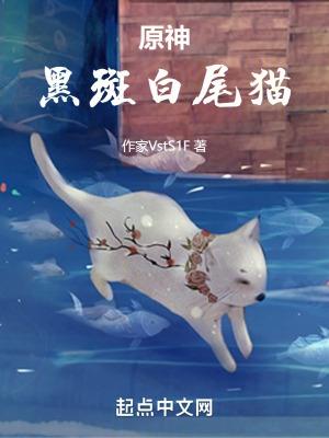 元神黑色的猫