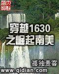 穿越1630之崛起南美txt精校版