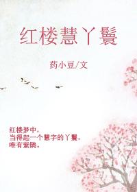 红楼梦 丫鬟小红