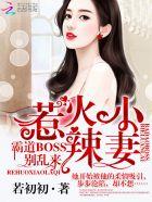 惹火小辣妻霸道boss别乱来TXT