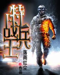 特战兵王叶公子