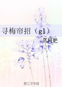 寻梅帘招多少在一起